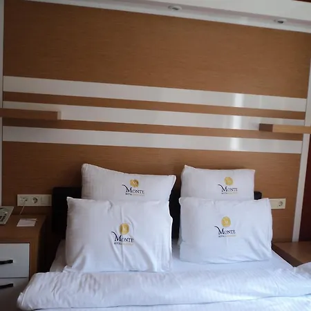 فندق Monte