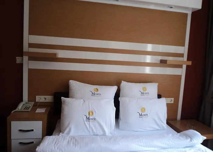 Hotel Monte