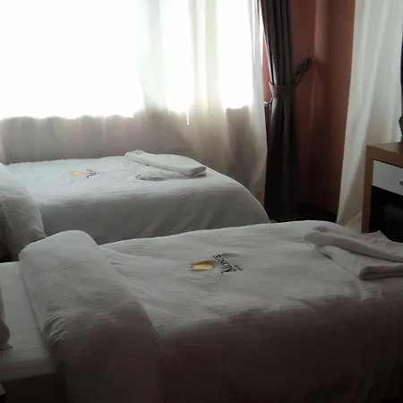 Monte Hotel 2*