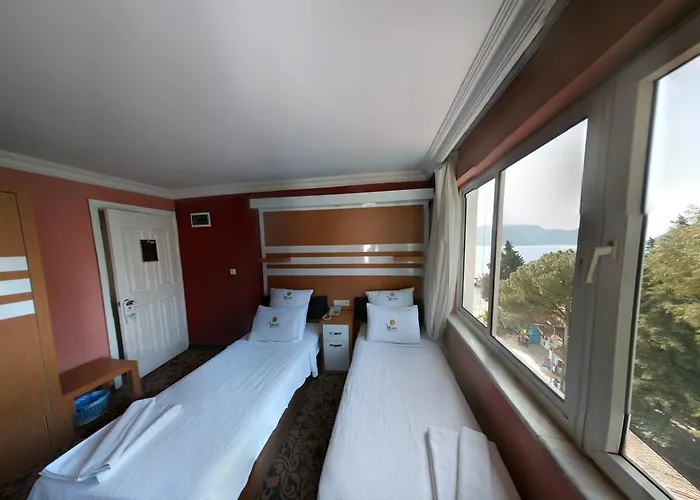 Monte